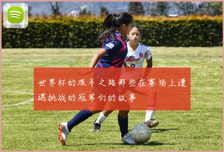 世界杯的艰辛之路那些在赛场上遭遇挑战的冠军们的故事